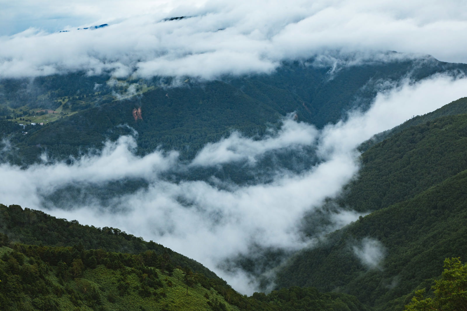 雲や霧に包まれた緑豊かな山間部の峠道の風景