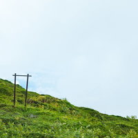 毛無峠の草原斜面に残された古い柵と電柱の風景の写真