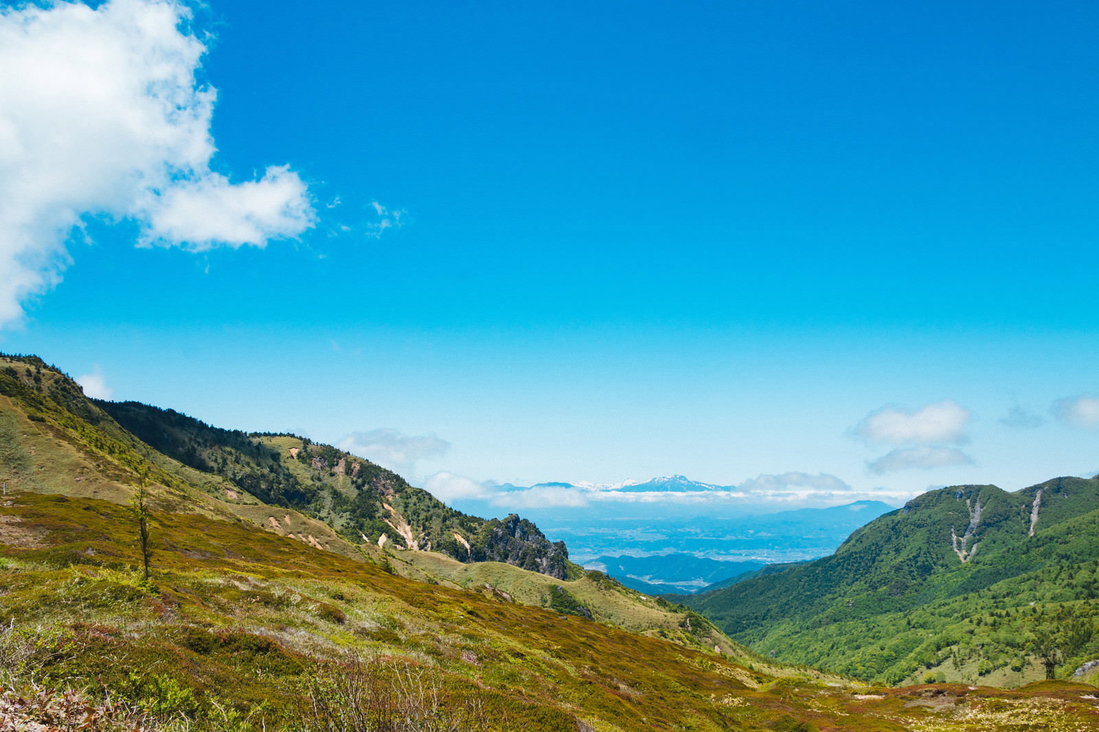 毛無峠から撮影した青空と雲に包まれた緑豊かな山岳風景