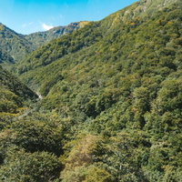 新緑に覆われた谷川岳付近の山々の稜線風景の写真