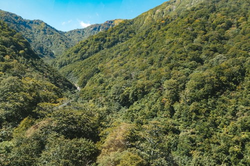 新緑に覆われた谷川岳付近の山々の稜線風景