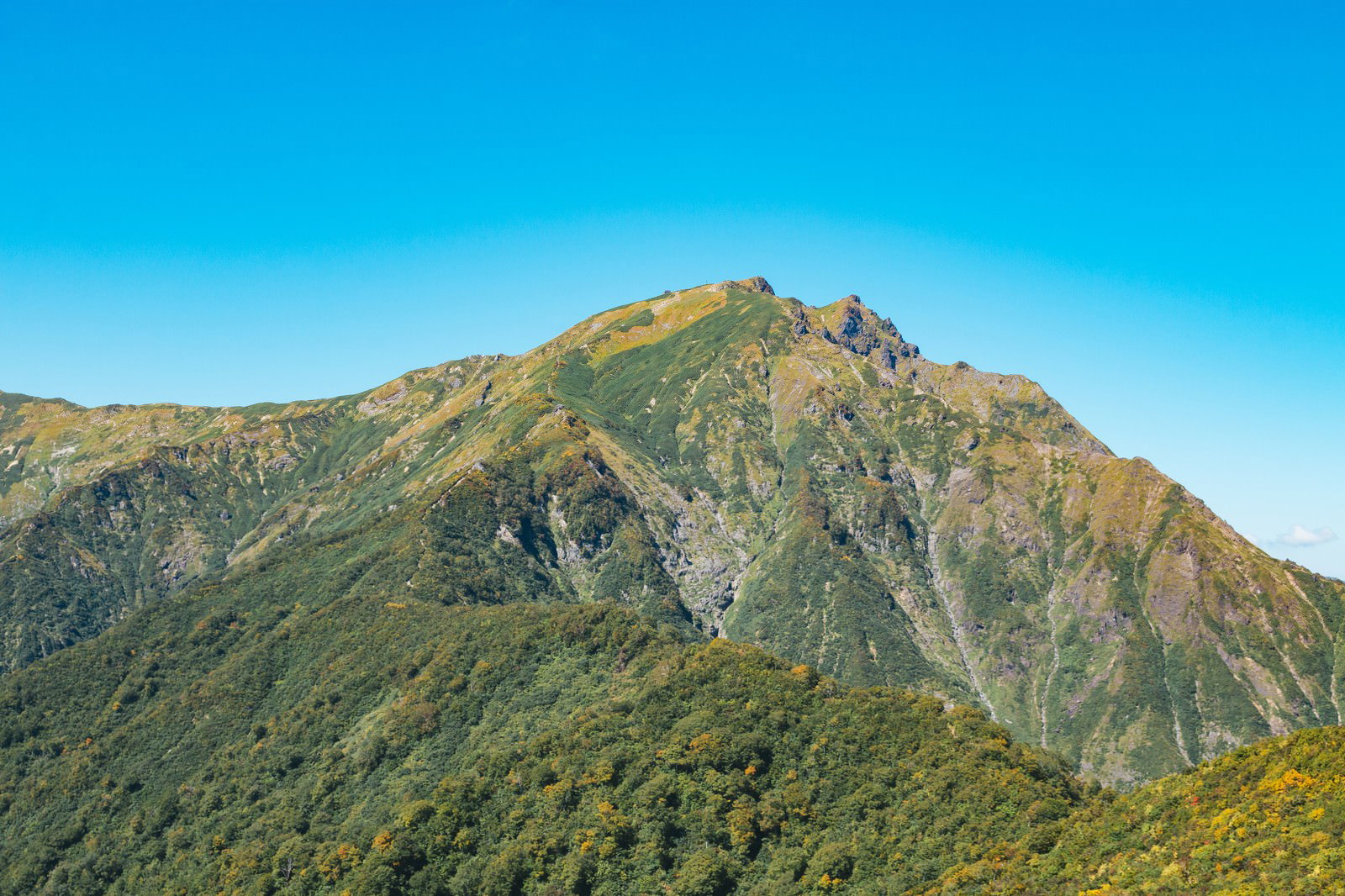 青空の下に聳える谷川岳の雄大な山容と緑豊かな山肌