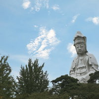 高崎白衣大観音周辺の山の谷と広葉樹林の写真