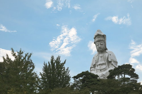 高崎白衣大観音周辺の山の谷と広葉樹林