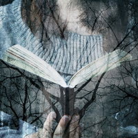 樹海に溶ける女性と開かれた本のメッセージの写真