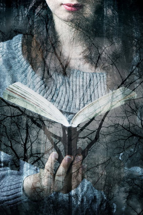 樹海に溶ける女性と開かれた本のメッセージの写真