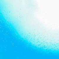 魚の群れが泳ぐ海中と太陽光のグラデーションの写真