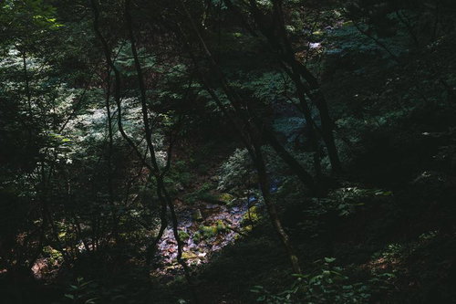木漏れ日と行司ヶ滝の渓谷のコントラスト～福島県田村市
