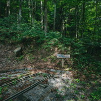 日本一短い森林鉄道の廃線跡、緑深い遊歩道に残る線路の写真