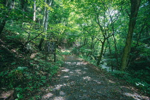 行司ヶ滝遊歩道入口の新緑に包まれた散策路（福島県田村市）
