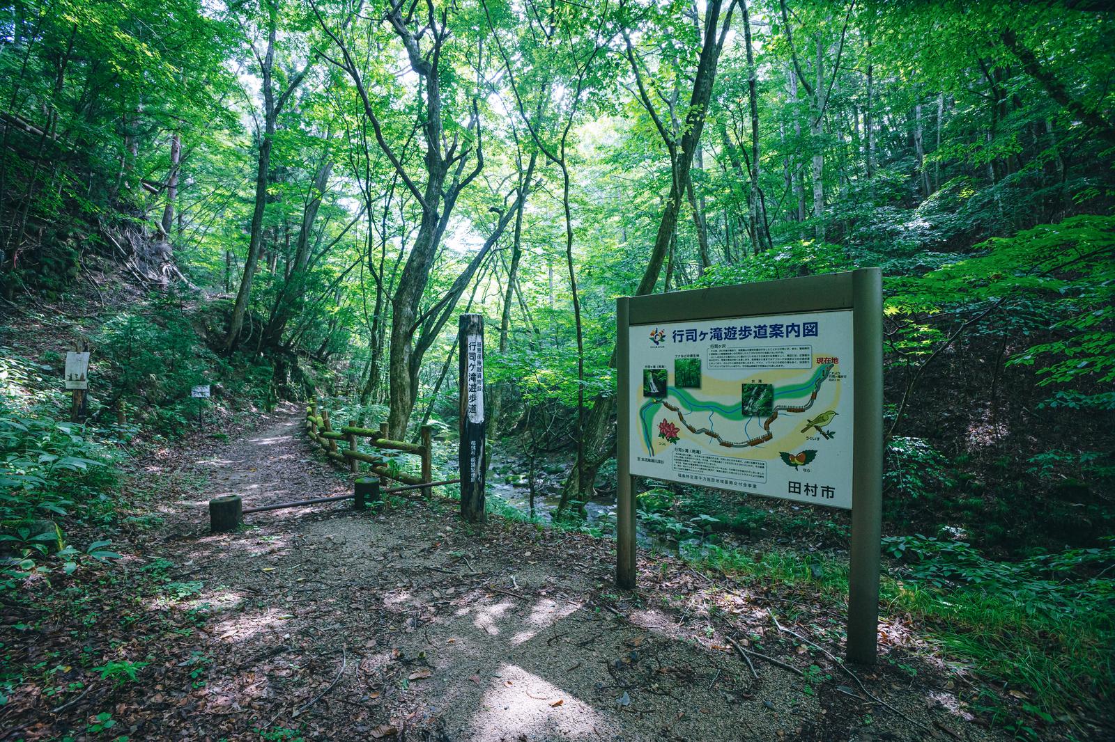 新緑の森の中に立つ行司ヶ滝遊歩道の案内図看板