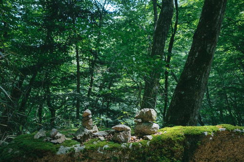 行司ヶ滝の遊歩道沿いに積み重ねられた積石