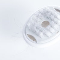 抜け毛が絡みついた白いシャンプーブラシ、ヘアケア用品の写真