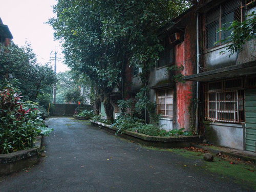 緑に覆われた廃村の物静かな路地 歴史的な赤レンガ建物と蔦に包まれた風景