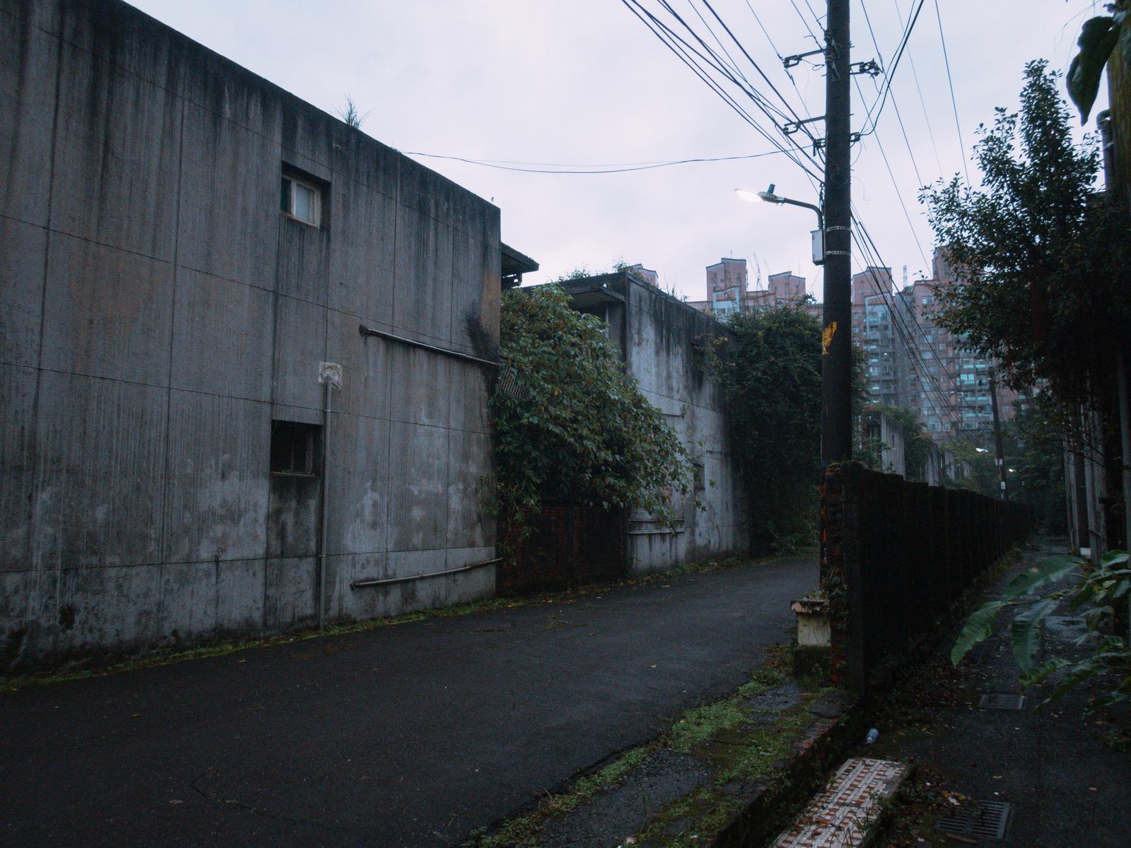 廃村の廃屋に蔦が絡みつき、背後に高層ビルが見える廃屋群の街並み