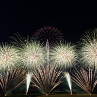 夏の風物詩と言えば花火大会、夜空に開花する打上花火の写真