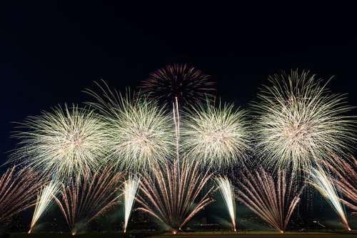 夏の風物詩と言えば花火大会、夜空に開花する打上花火