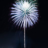 打上花火ドカーン、夜空に白と青の光が放射状に広がるの写真