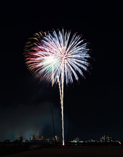 夜空に高々と打ち上がる白と赤の花火が放射状に広がる光景