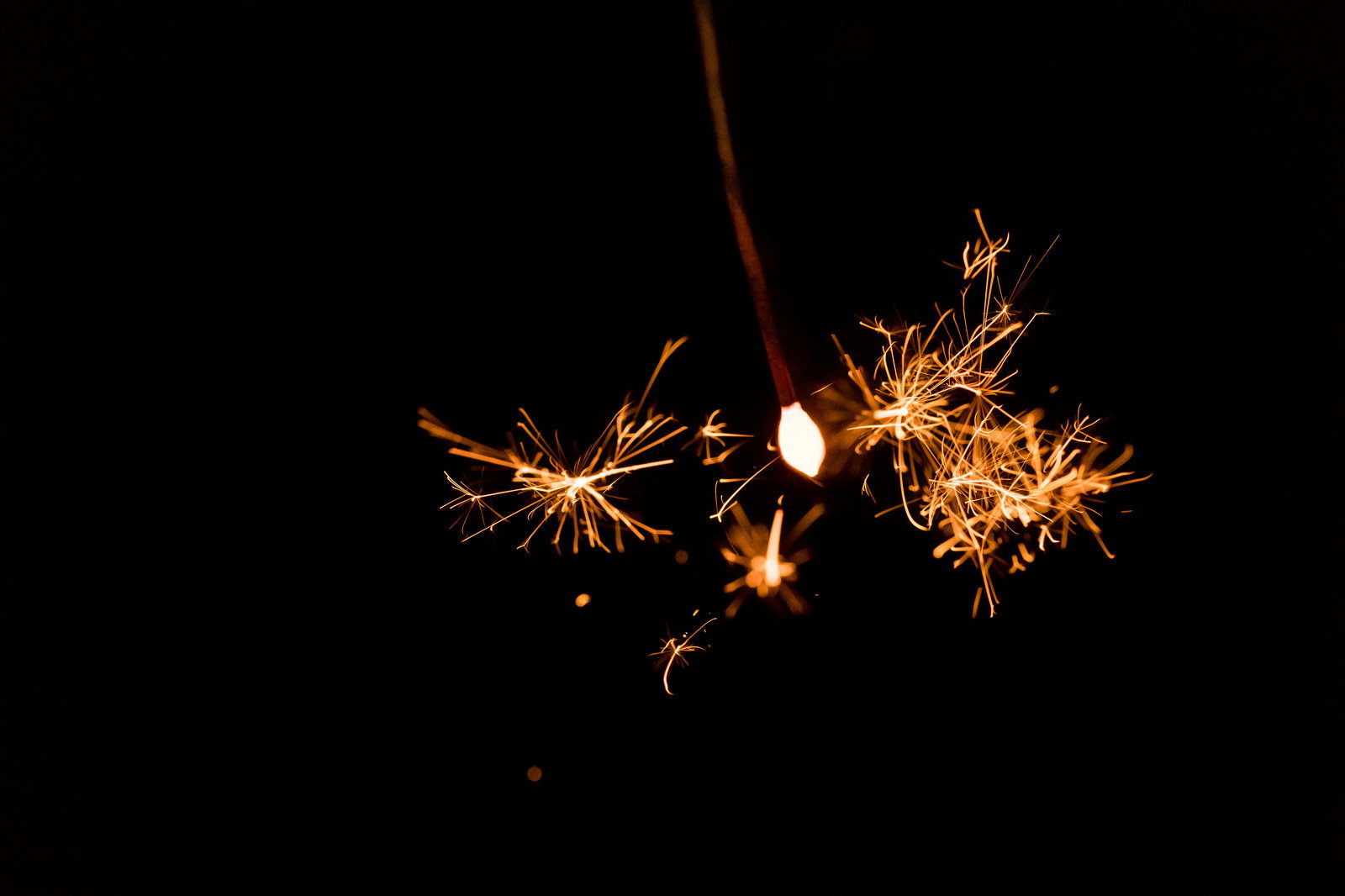 暗闇の中で広がる線香花火の火花