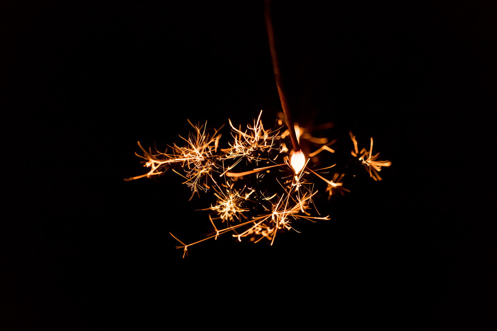 夏の夜に火花が弾ける線香花火