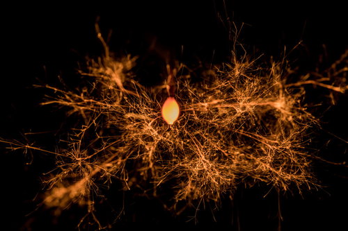 龍脈のように放射状に飛び散る線香花火の火花