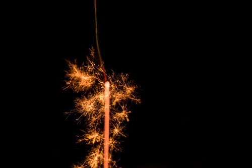 儚く短命な線香花火の終わり