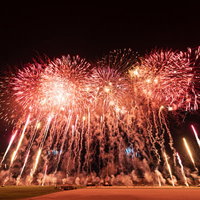次々と炸裂する花火のスターマイン、江戸川区花火大会の夜空を彩るの写真