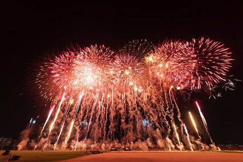 次々と炸裂する花火のスターマイン、江戸川区花火大会の夜空を彩る