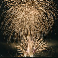 おおたま夏祭りで打ち上げられた黄金色の大輪花火の写真