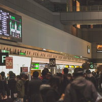 混雑する羽田空港のロビーの写真