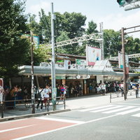 原宿駅竹下口前の駅前風景の写真