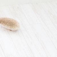 てくてく歩くハリネズミ 白い床を歩く小動物のペットの写真
