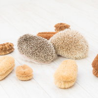 ハリネズミの後ろ姿がタワシにそっくり！針のような突起で比較の写真