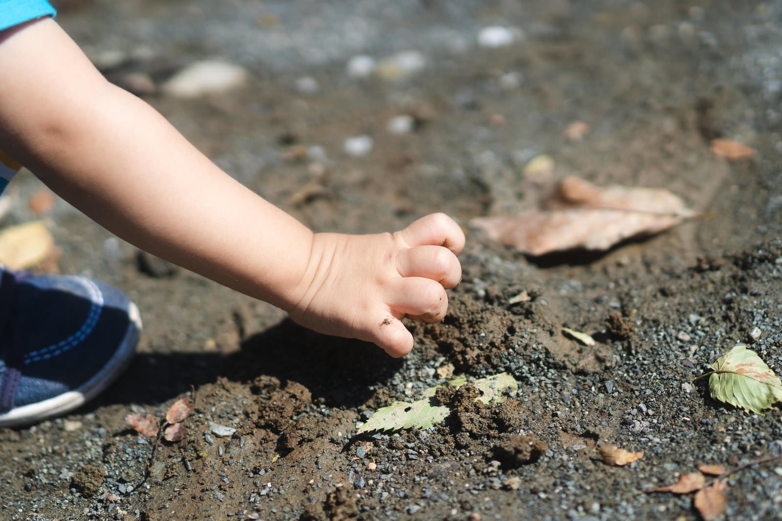 茶色い土に触れる子供の小さな手