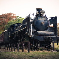 保存車両とされた機関車C57186の煙突と運転席の写真