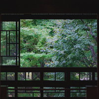 和室の窓から眺める青々とした新緑の庭園風景の写真