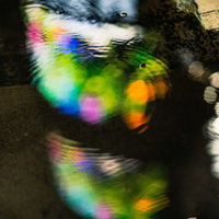 水たまりに映る街灯りと波紋、雨上がりの夜の光と反射の写真