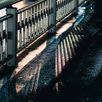 雨上がりの濡れた歩道に伸びる防護柵の影と水たまりの反射の写真