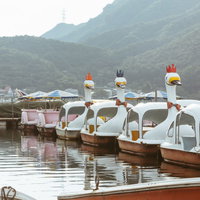 群馬県の榛名湖に並ぶ白いスワンボートと緑の山々の写真