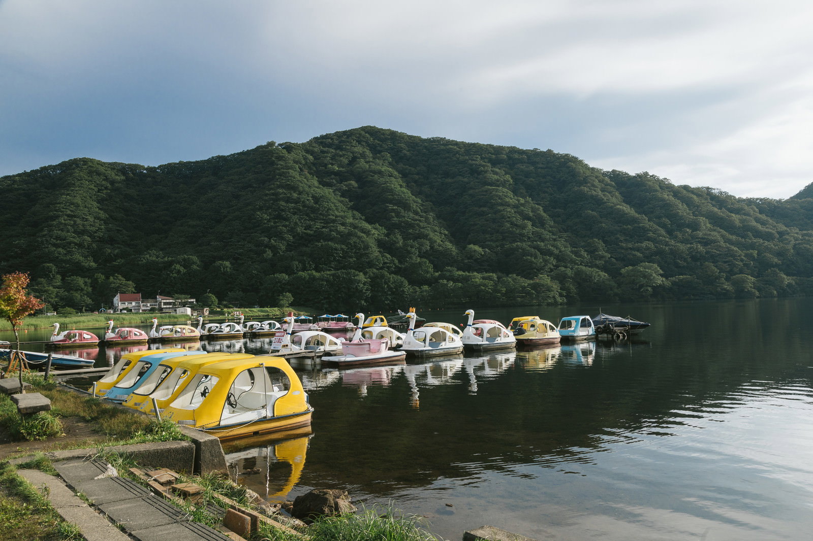 榛名湖の湖面に浮かぶカラフルなスワンボートと緑の山々