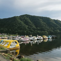 榛名湖に浮かぶスワンボート、黄色と白色のペダルボートが湖面に並ぶ景色の写真