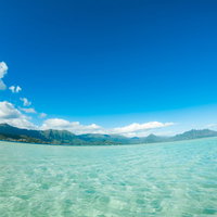 ハワイの浅瀬で見るエメラルドグリーンに透き通った天国の海の写真