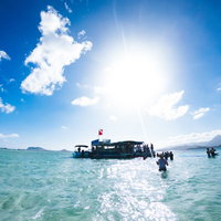 天国の海ツアーの参加者たちが泳ぐエメラルドグリーンの浅瀬の写真