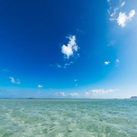 どこまでも歩けそうなハワイの天国の海と白い砂浜の写真