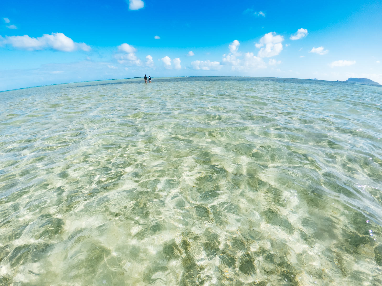 ハワイの天国の海で透明なエメラルドグリーンの浅瀬でイチャイチャするカップル