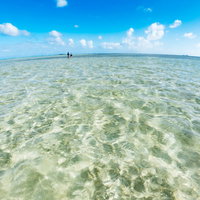 ハワイの天国の海でエメラルドグリーンの浅瀬にイチャイチャするカップルの写真