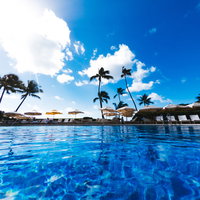 プールの水面から見た青空とヤシの木のリゾート風景の写真