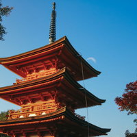 秋晴れの青空に立つ朱塗りの三重塔の写真