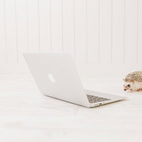 既読がつくのをじっと待っているハリネズミの写真